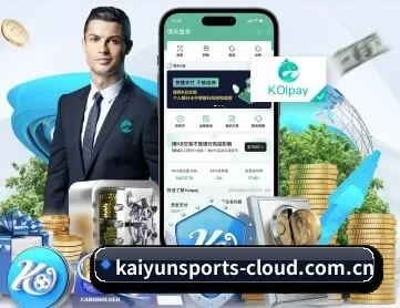 开云体育平台 APP 深度功能（kaiyun）